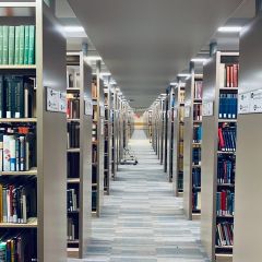 Легко найти: нотариальные архивы помогут в восстановлении документов